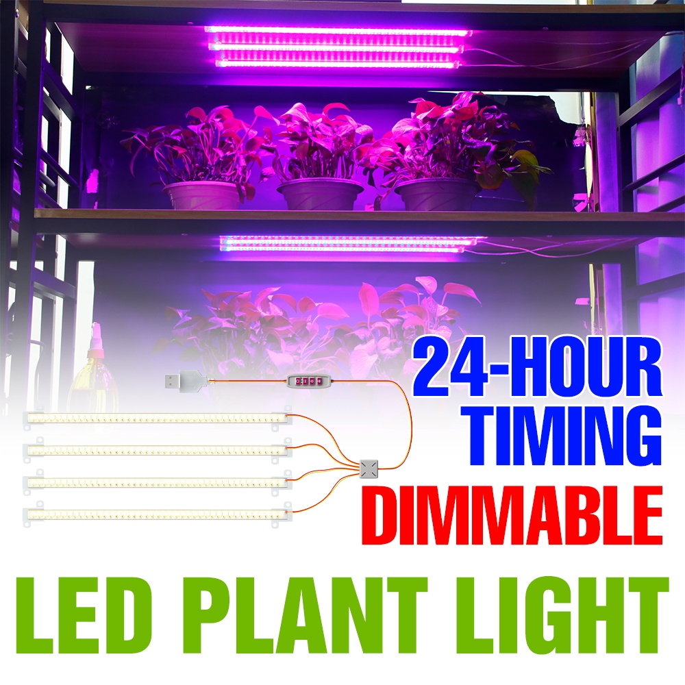 Echeveria Succulent - Listwa LED do uprawy roślin w