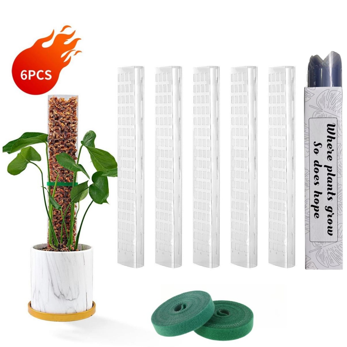Moss Poles Plants Plant Suppor – Echeveria Succulent recenzja i cena