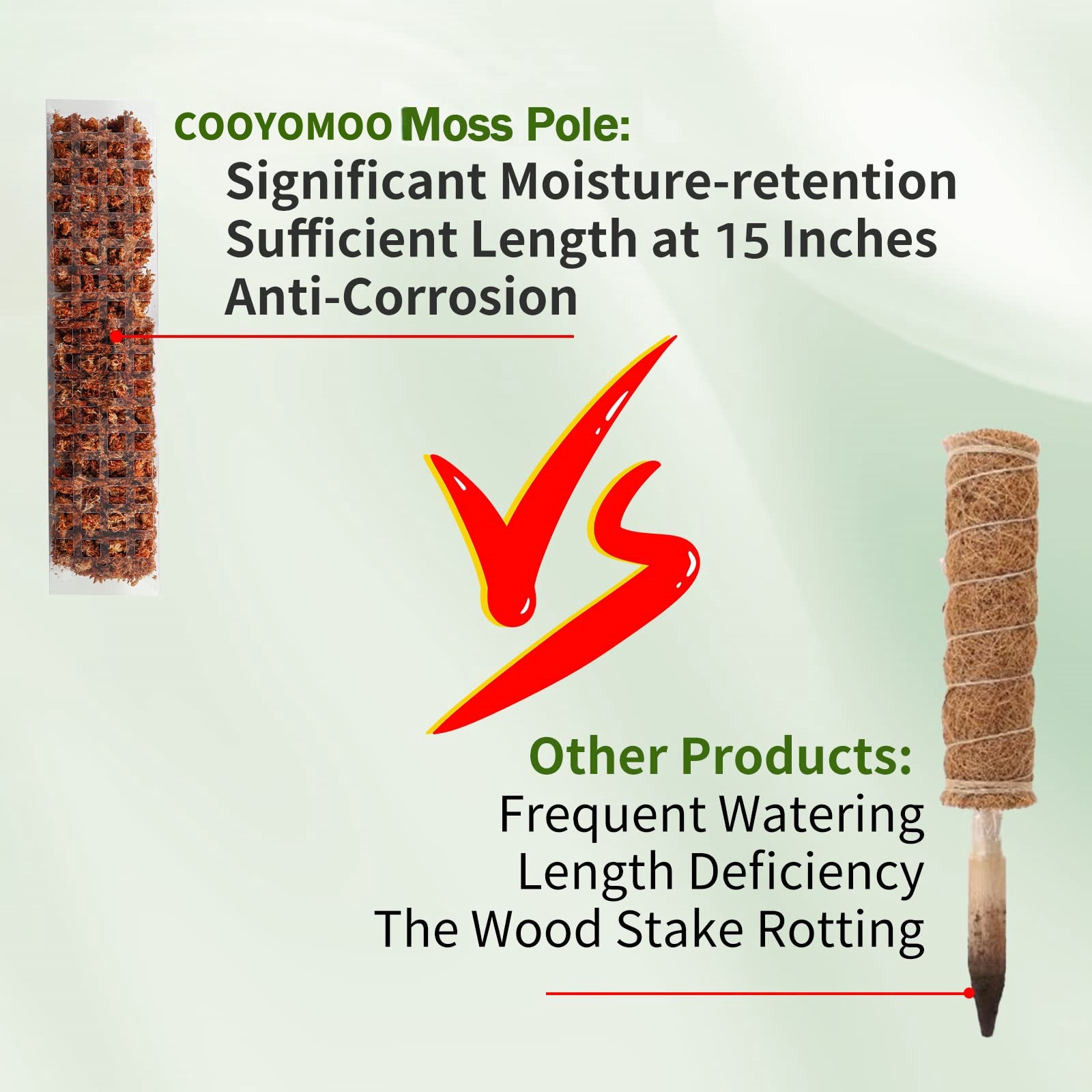 Moss Poles Plants Plant Suppor – Echeveria Succulent recenzja i cena