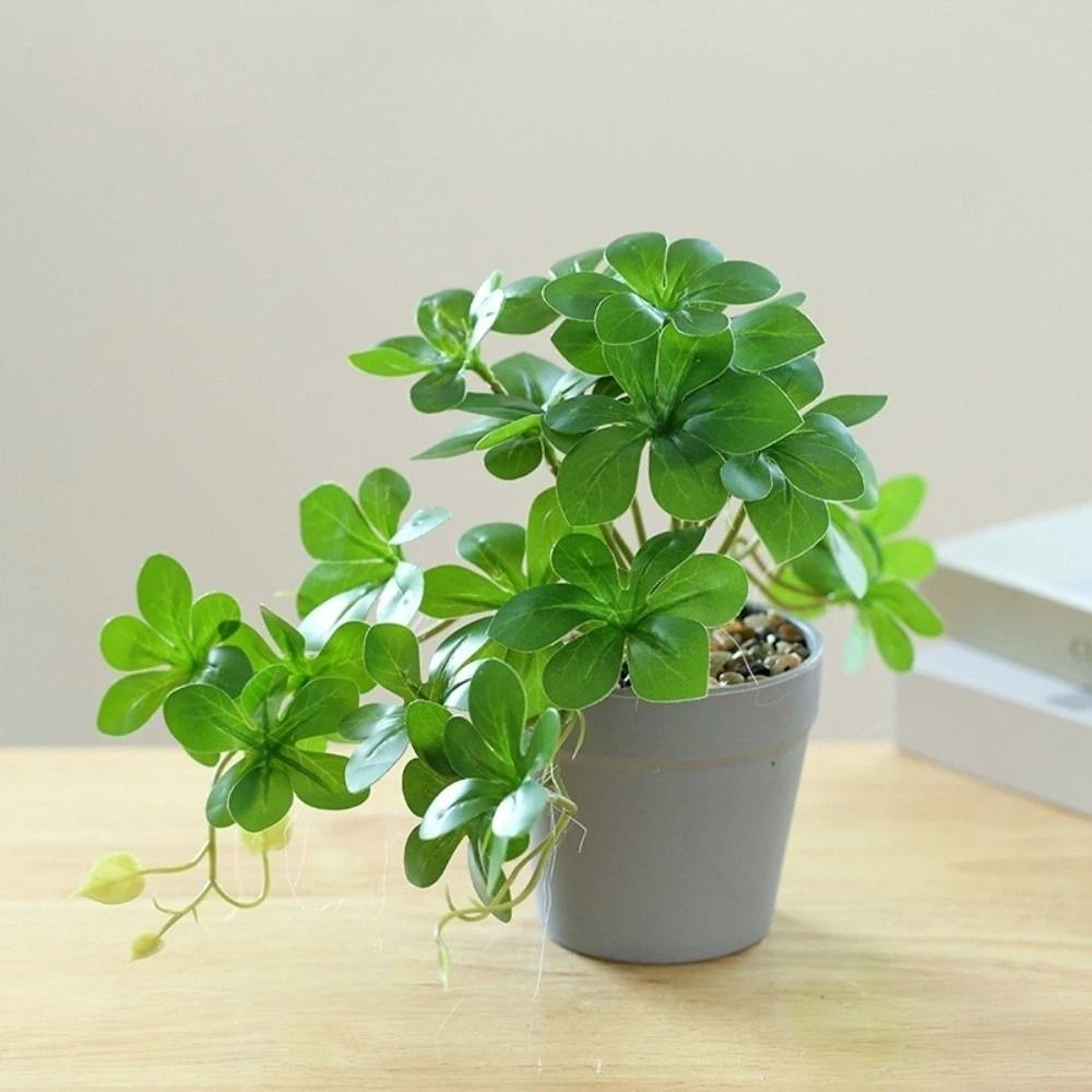 Sztuczny bonsai, sztuczna rośl – Spider Plant Hanging recenzja i cena