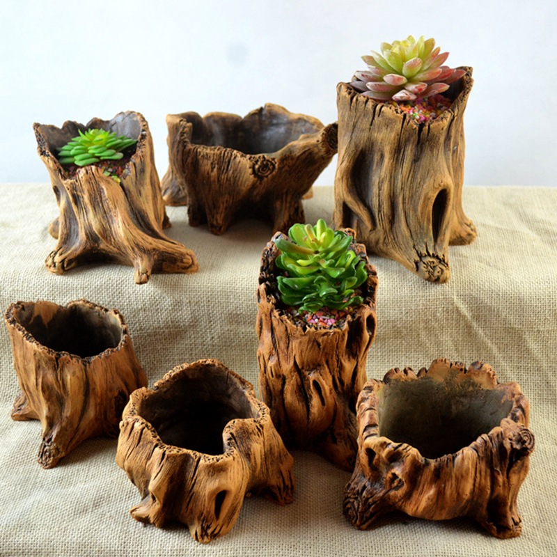 Imitacja drewnianych palików k – Echeveria Succulent recenzja i cena